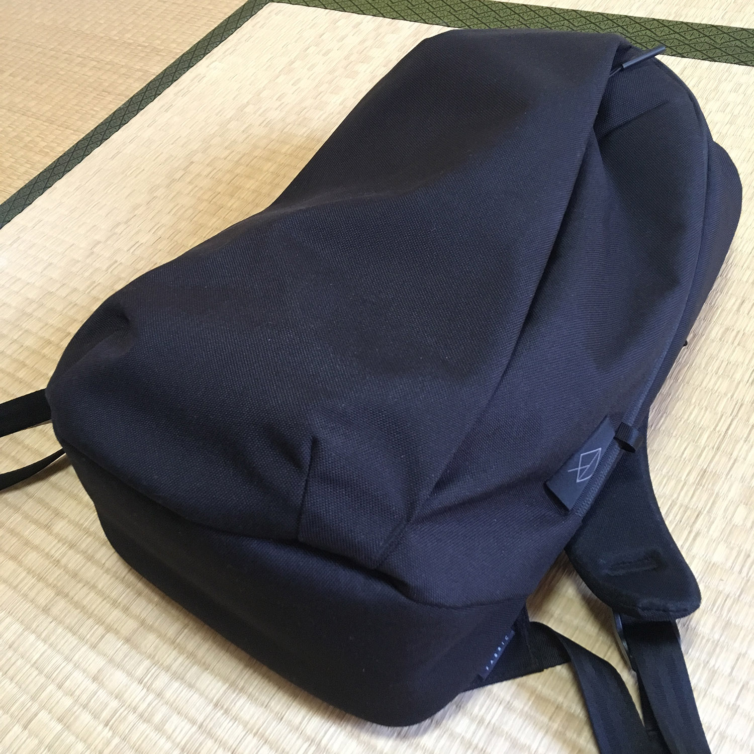 WEXLEY STEM BACKPACK を購入した！【レビュー】 | PING SONG YOU